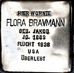 Stein_BRAVMANN_Flora