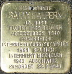 stein_halpern_sally