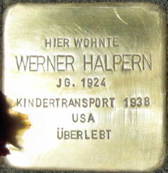 stein_halpern_werner