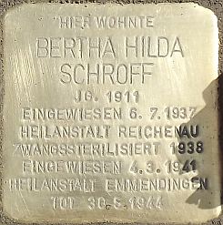 stein_SCHROFF_Bertha